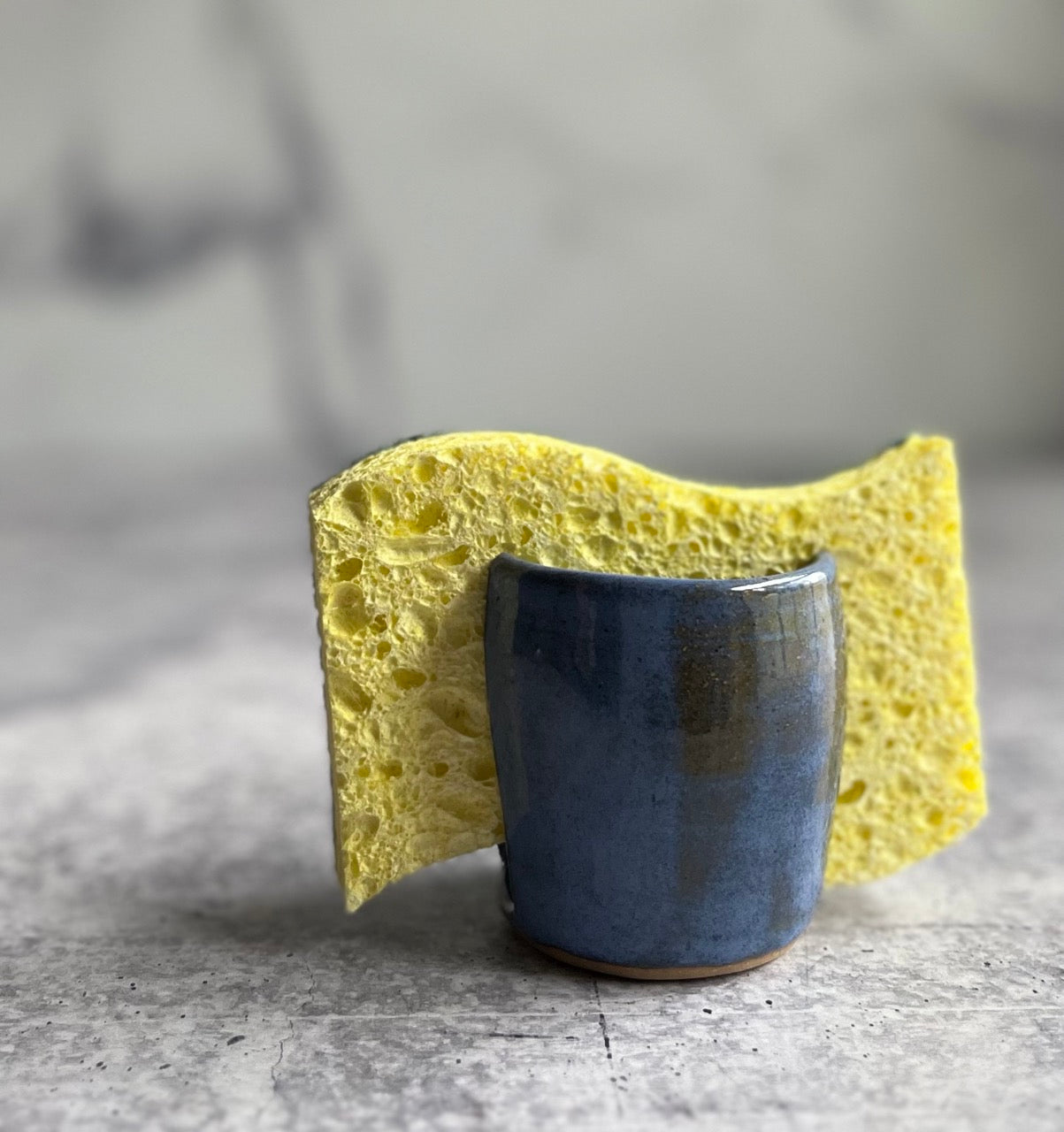 blue-sponge-holder