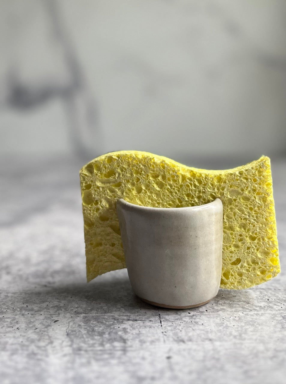 white-sponge-holder
