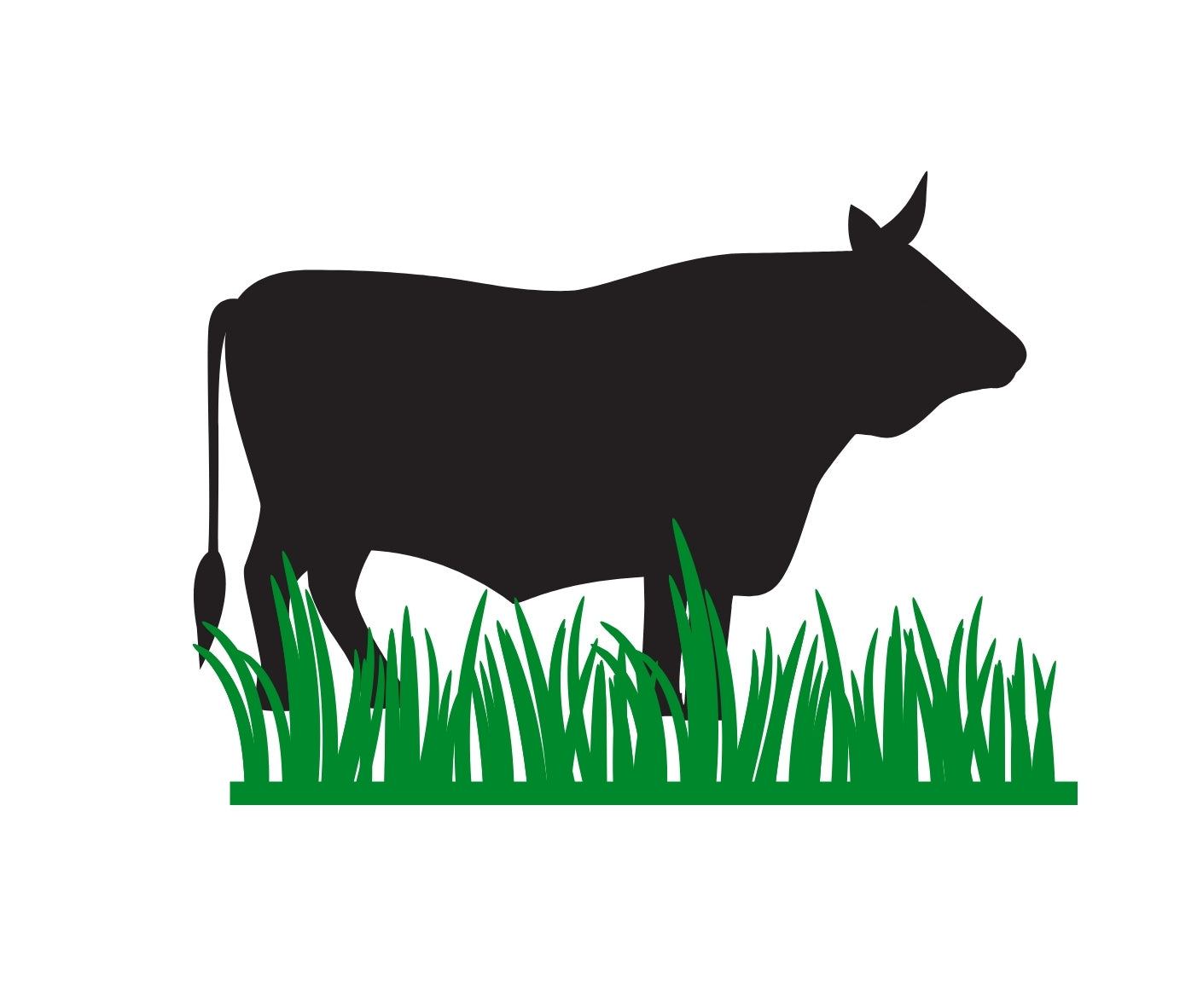 Grass Fed and Finished Beef