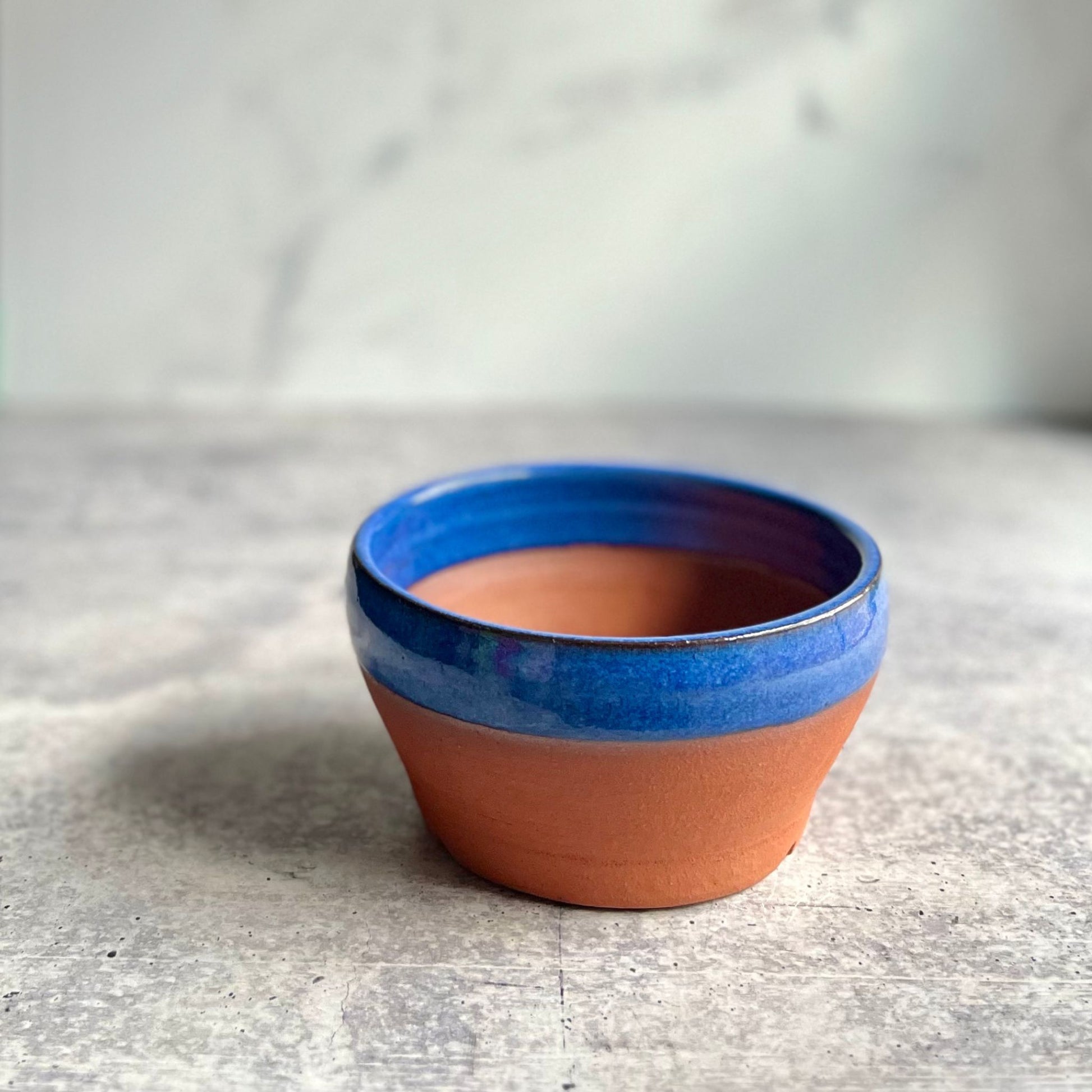 Small earthenware ceramic succulent planter glazed turquoise on rim, on a gray surface.