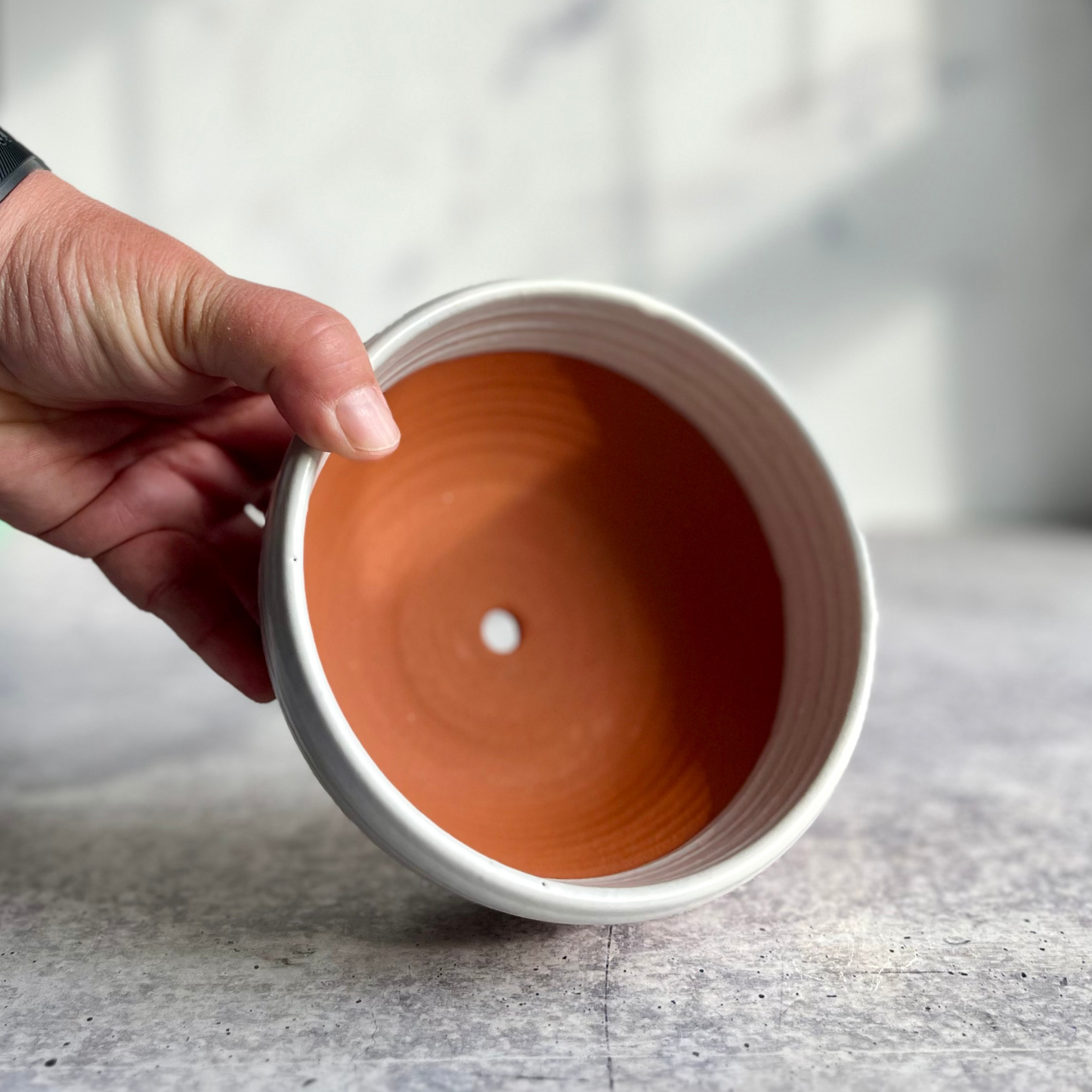 PLANTERS - 5 1/2" Ceramic Round with Drainage Hole