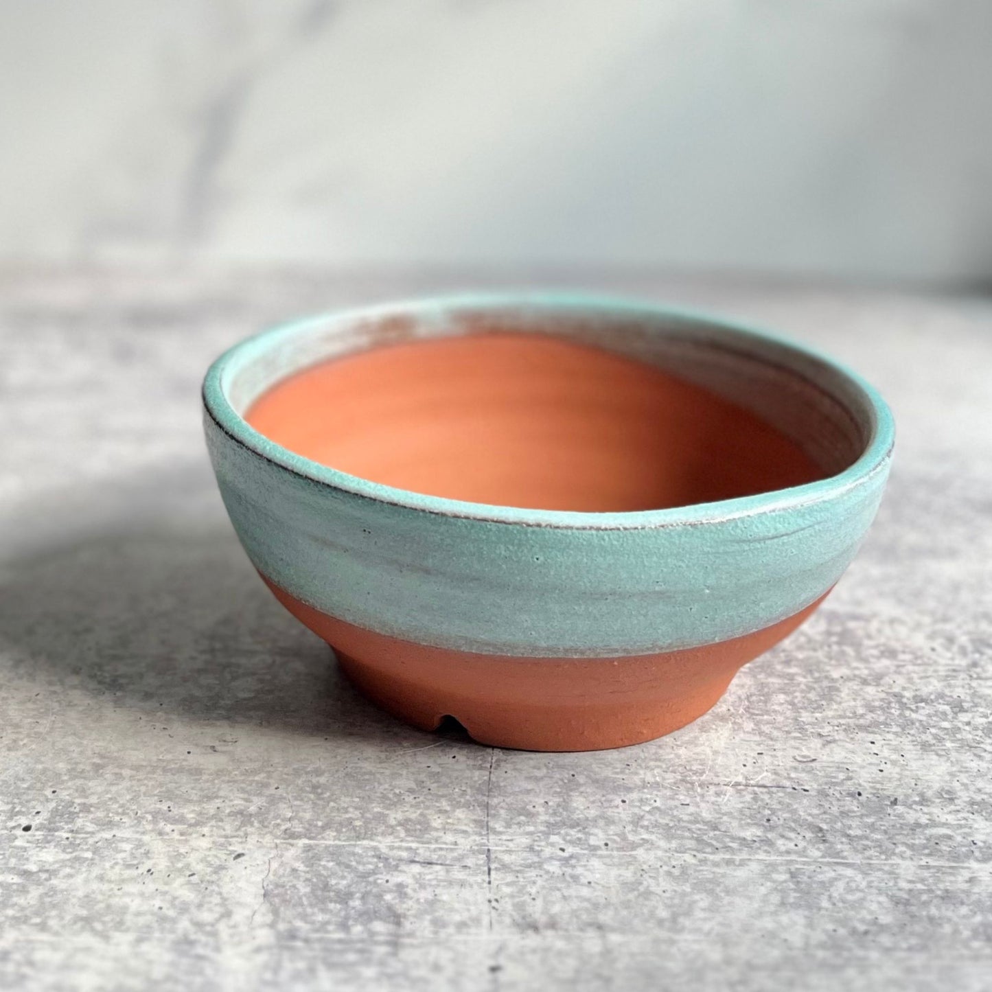 Medium earthenware ceramic planter glazed turquoise on rim, on a gray surface.
