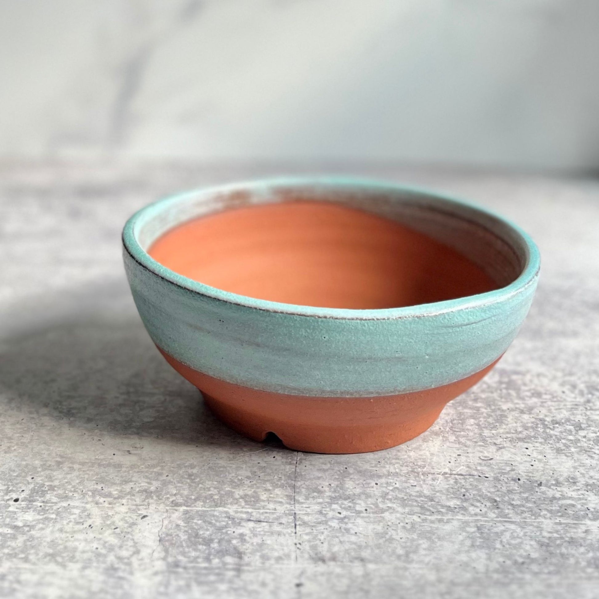 Medium earthenware ceramic planter glazed turquoise on rim, on a gray surface.
