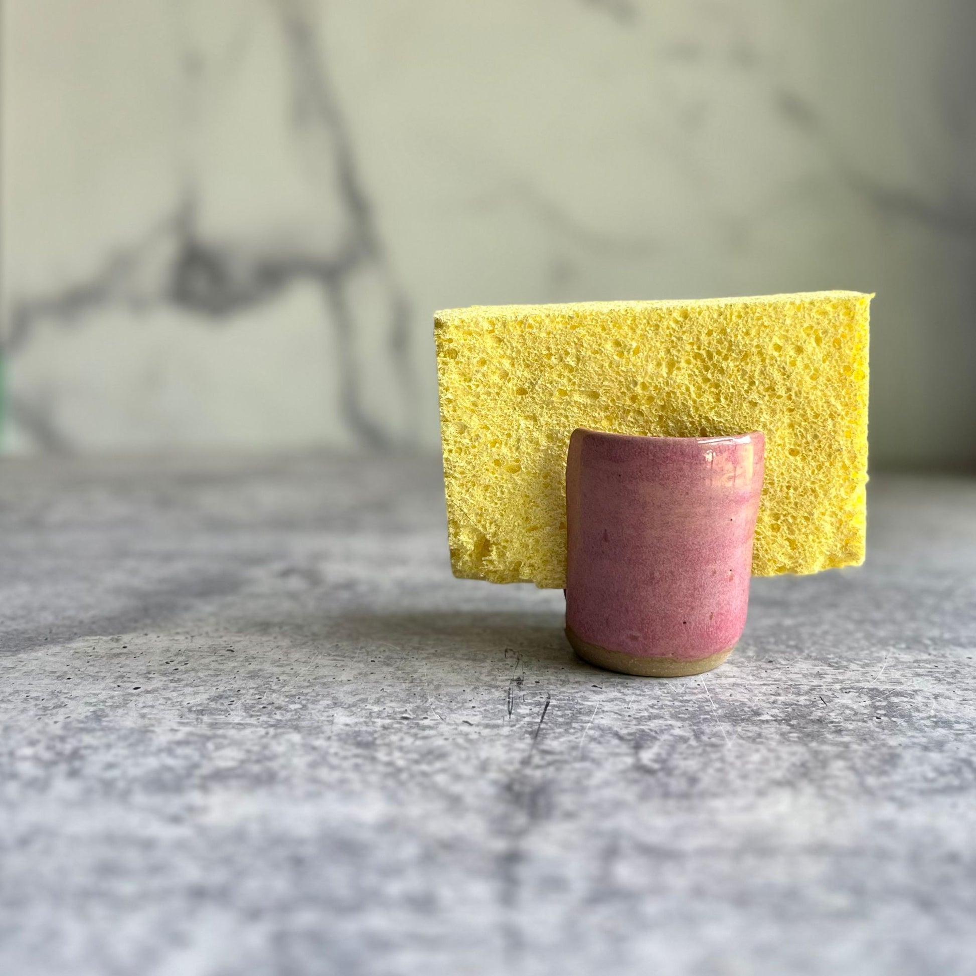 pink-sponge-holder